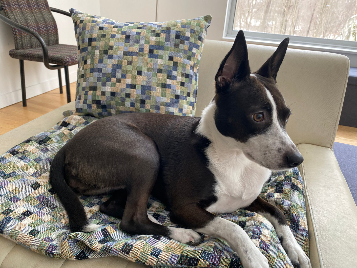 "MAGIC SQUARES" col. Moss Behaving. (multiple sizes) JHANE BARNES Custom Woven Blanket